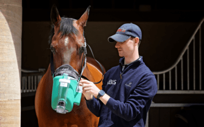 10 top tips for the management of equine asthma